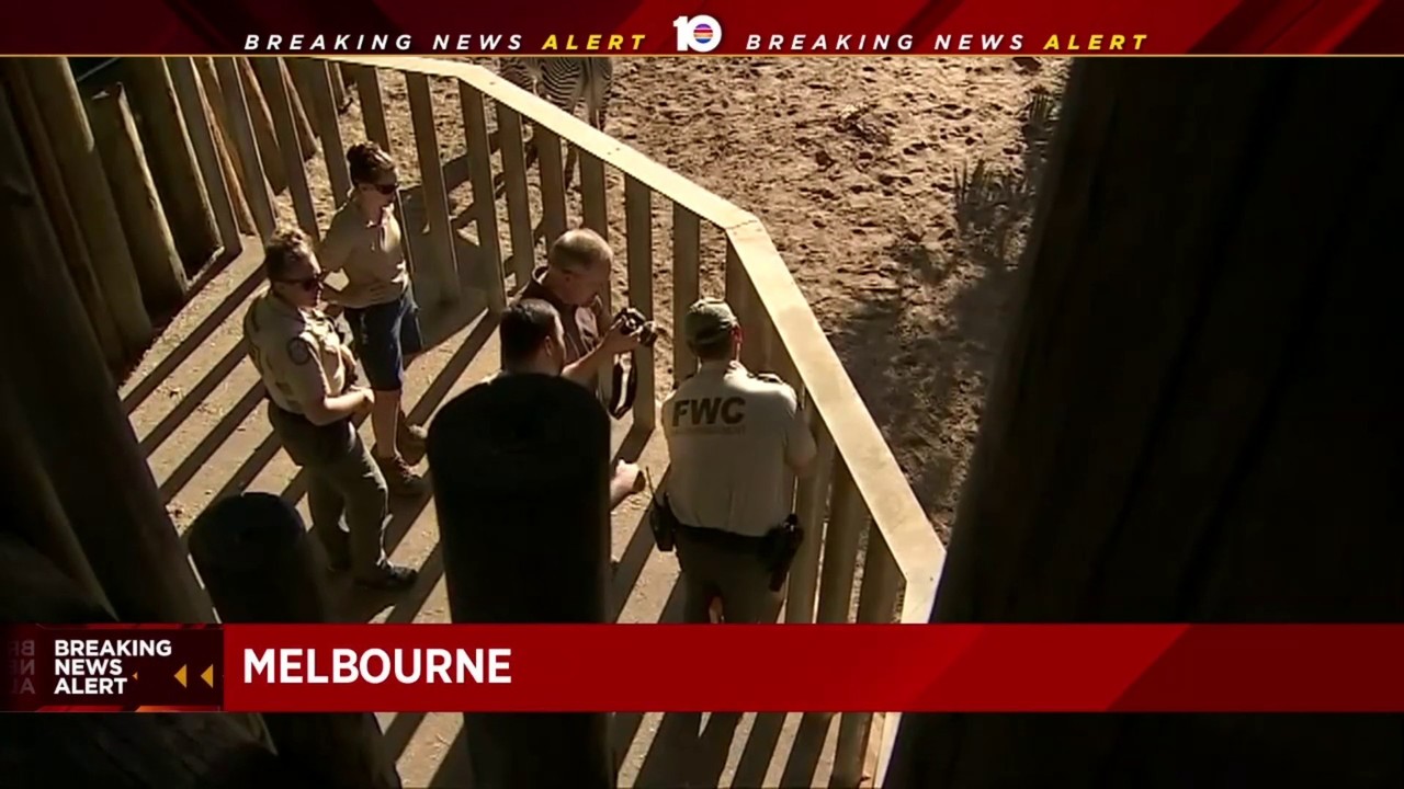 Child Falls Into Rhino Exhibit At Brevard Zoo In Melbourne